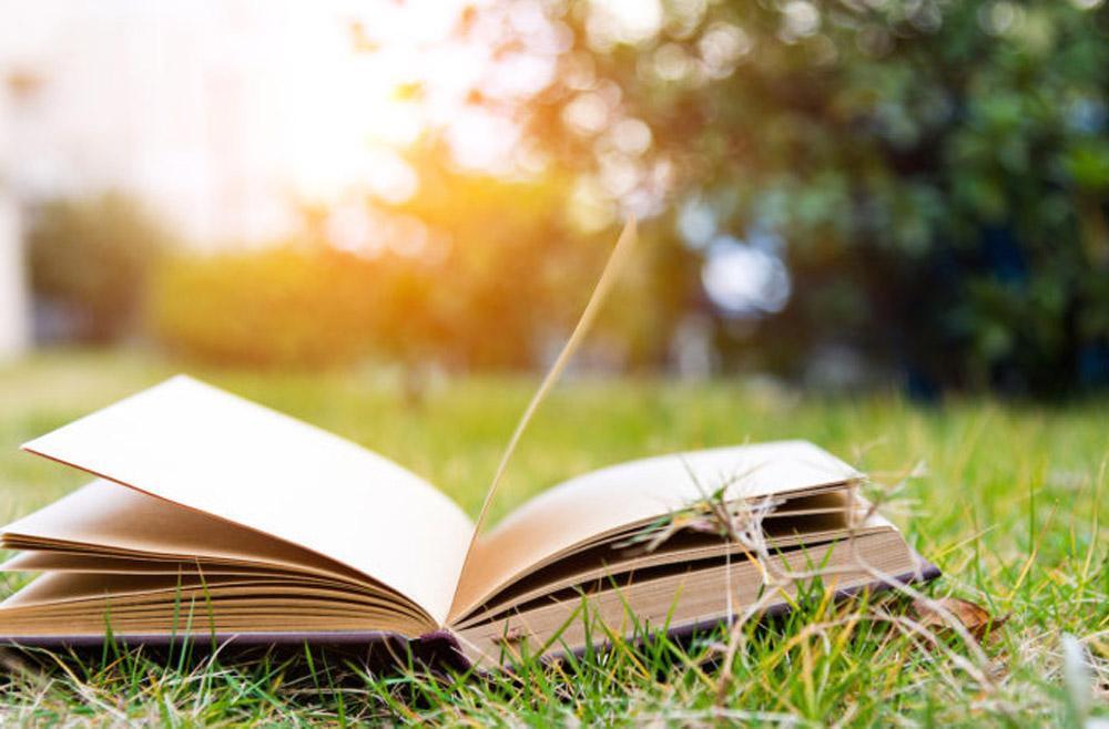 4 Books Any Guy Will Enjoy This Summer