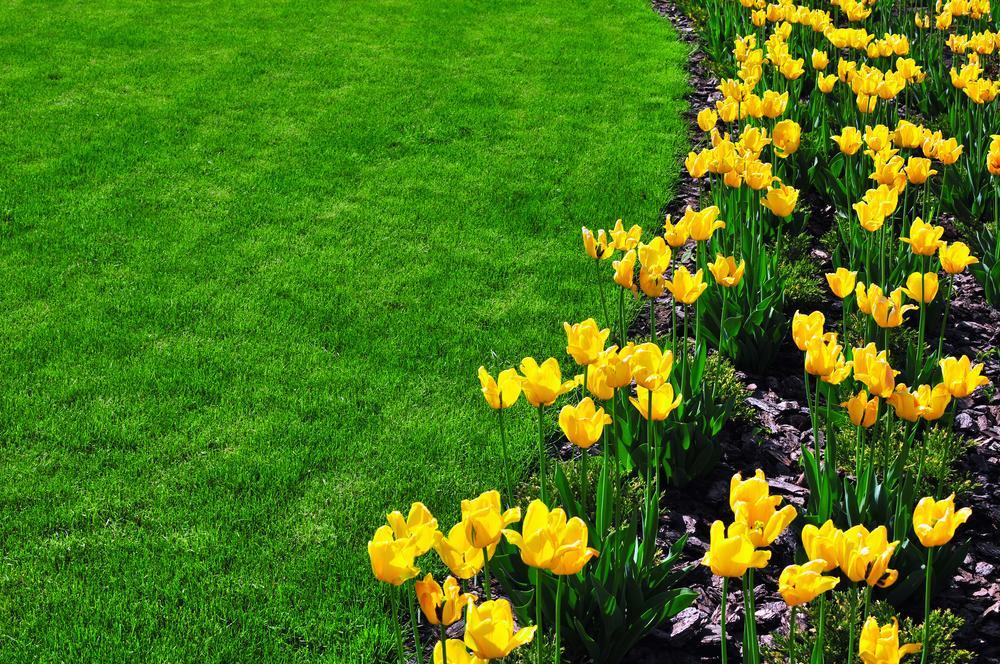 CURE THE SPRING FEVER!