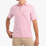 Palmetto Striped Polo - Punch
